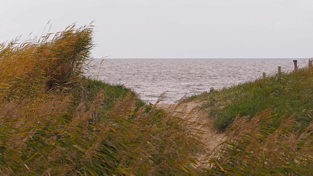 Malerischer Strandabschnitt bei Cuxhaven-Sahlenburg