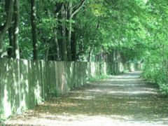 Malerischer Weg im Stadtpark