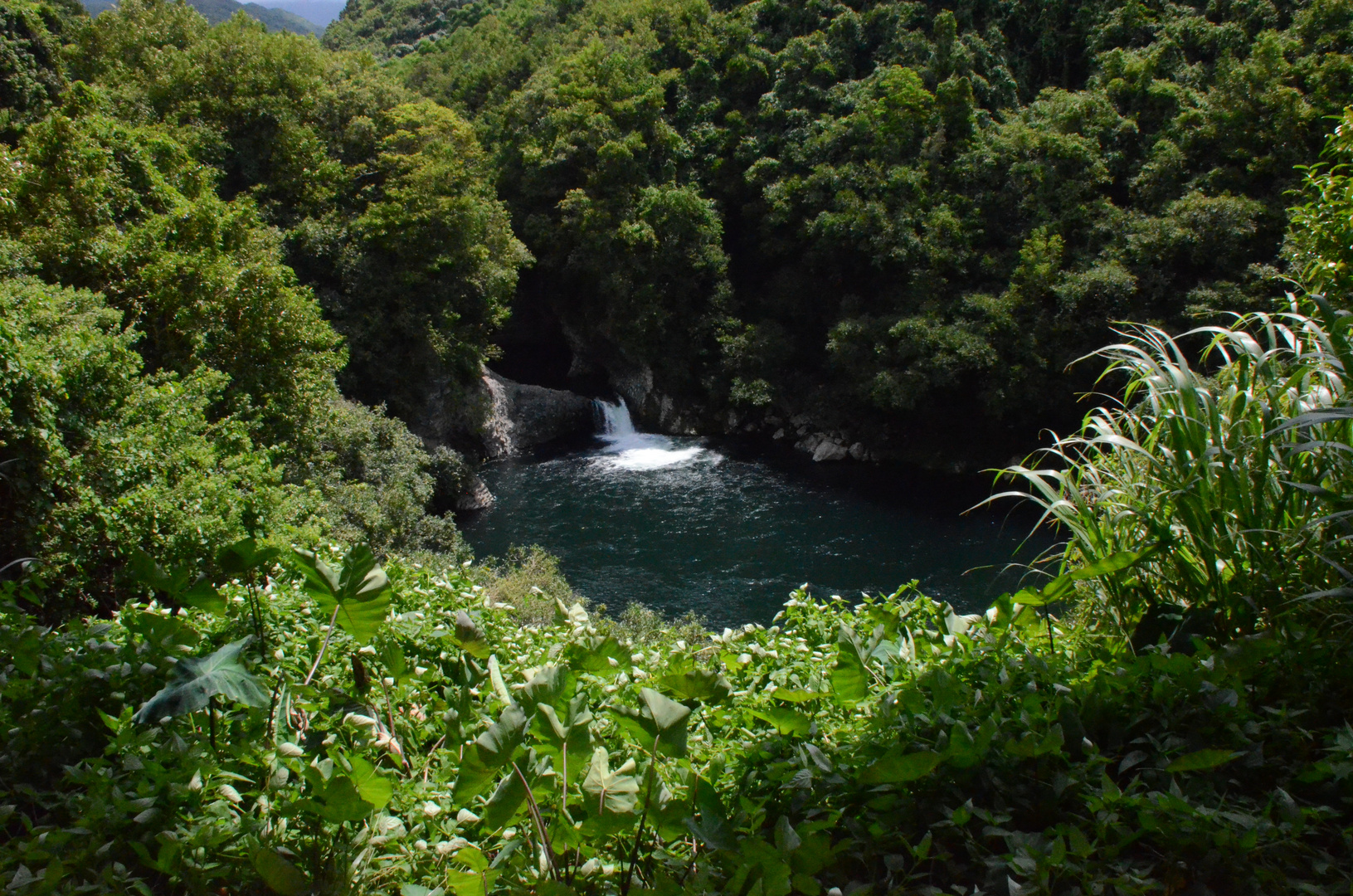 Malerisches Gewässer auf La Reunion (bei St. Suzanne im Norden)