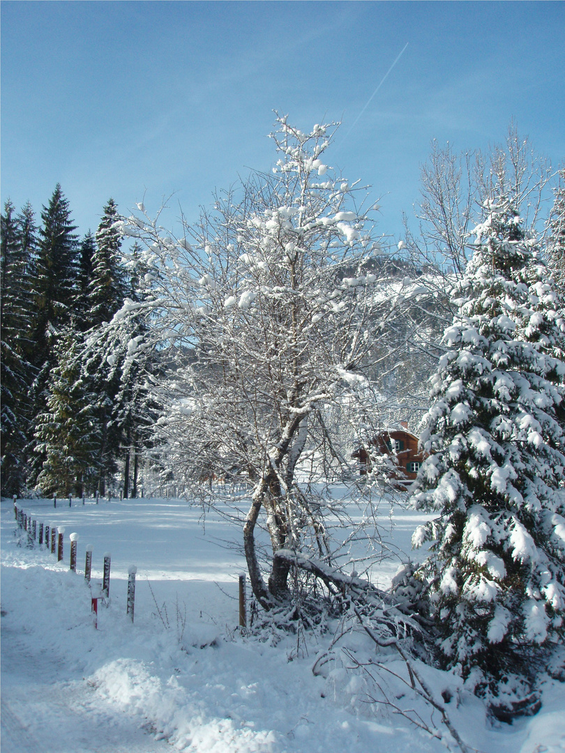 malerisches Hinterwildalpen