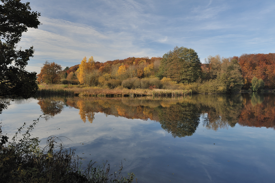 *malerisches Holzmaar III*