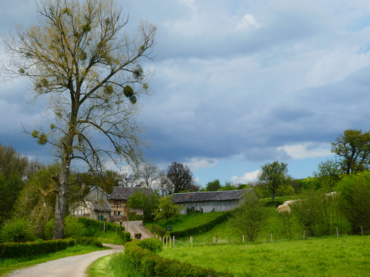 Malerisches Limburg