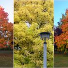 Malermeister Herbst