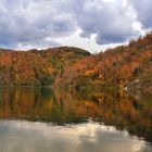 " Malermeister Herbst "