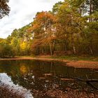 Malermeister Herbst