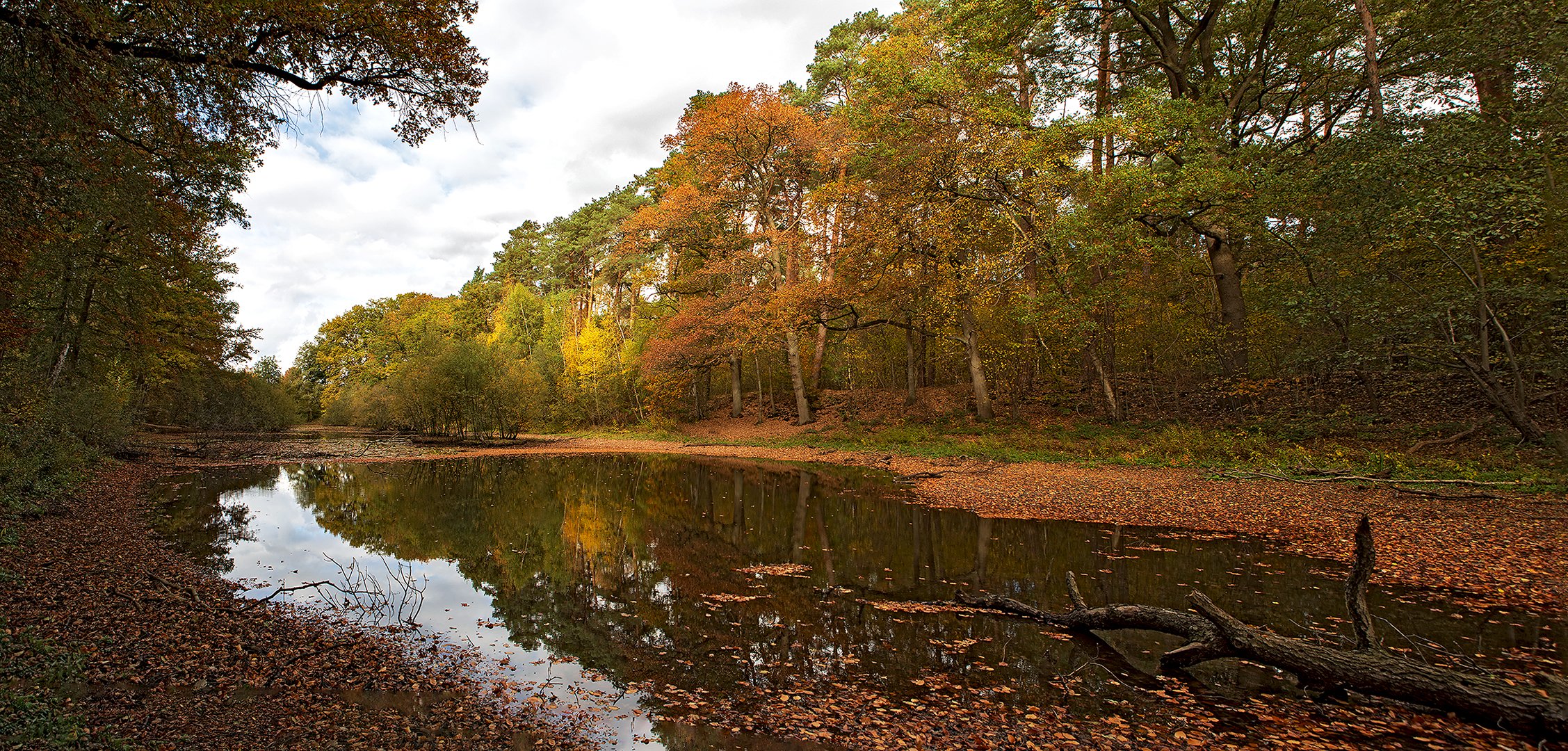 Malermeister Herbst