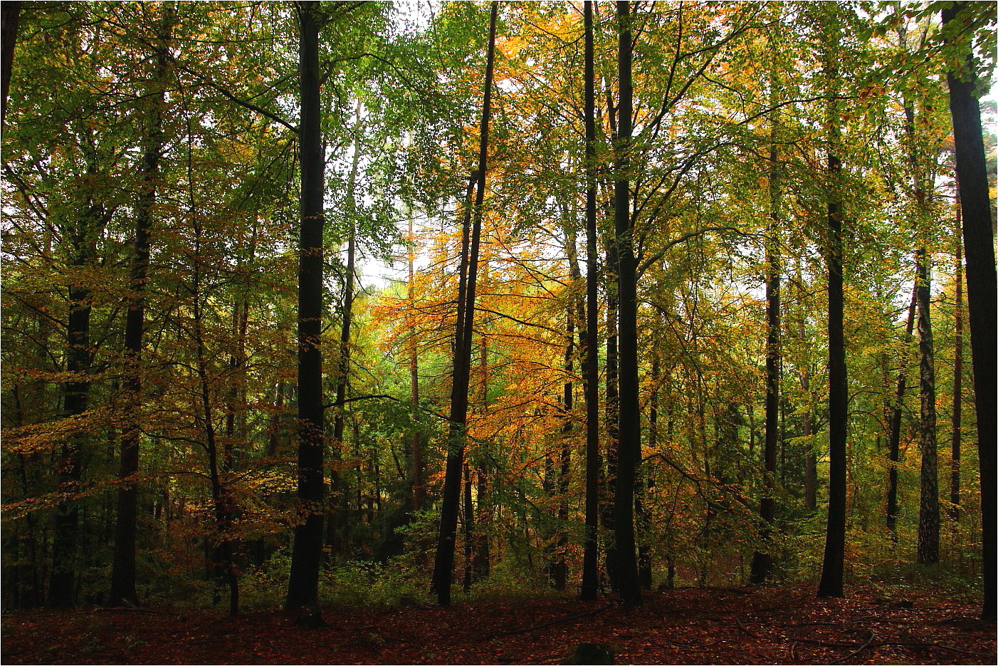 Malermeister Herbst