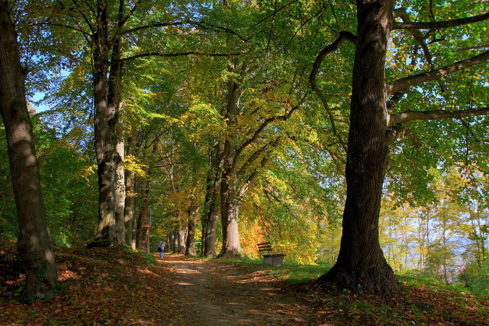 Malermeister "Herbst"