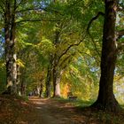 Malermeister "Herbst"