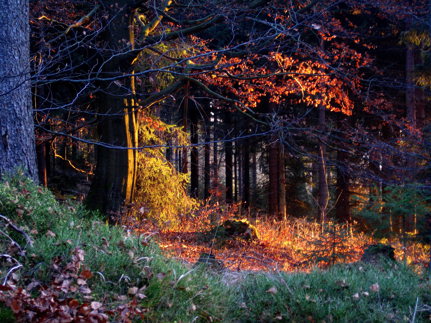 Malermeister Herbst