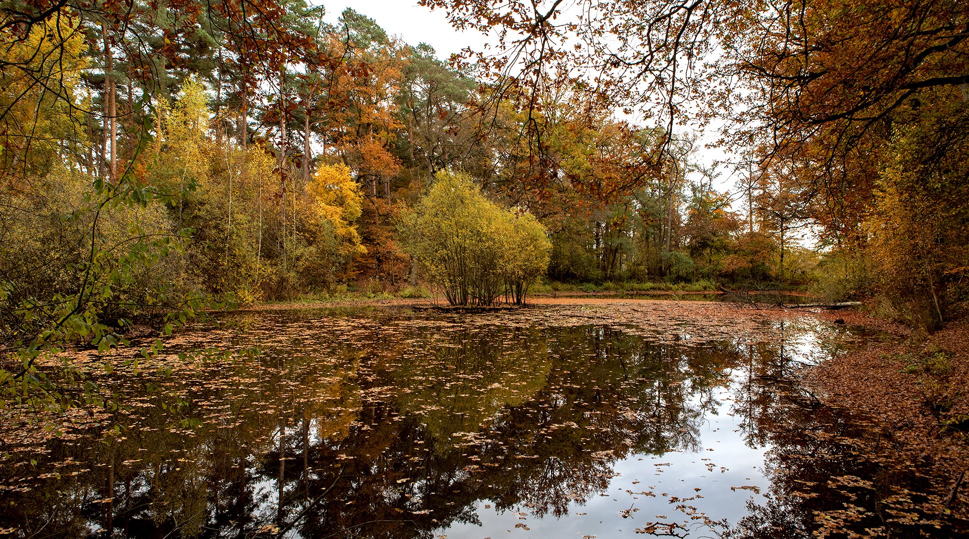 Malermeister Herbst