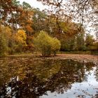 Malermeister Herbst