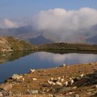 Malersee (2501m.) Rieserfernergruppe