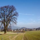 Malerweg Blick Zurück