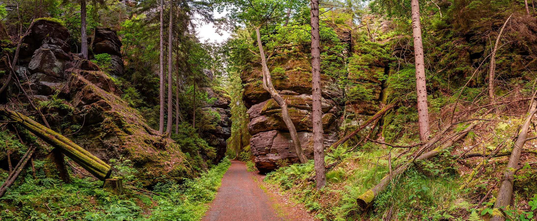 Malerweg in the national park Saxon Switzerland near Dresden, Saxony, Germany.