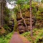 Malerweg in the national park Saxon Switzerland near Dresden, Saxony, Germany.