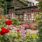 Malerwinkel IV - Bacharach/Mittelrhein