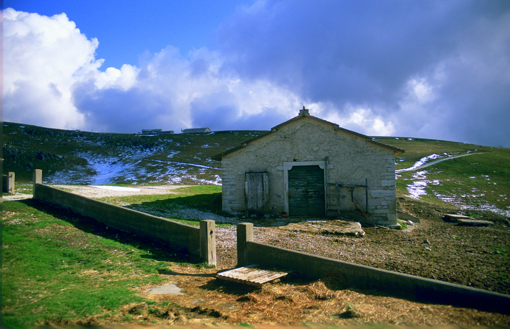 ..Malga campo Retratto