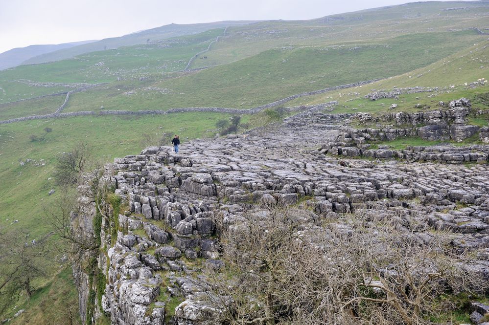 Malham Cove - Limestone Pavement