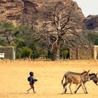 Mali Le retour des ânes