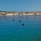 Mali Lošinj - Hafenpanorama 2