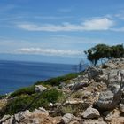 Mali Losinj