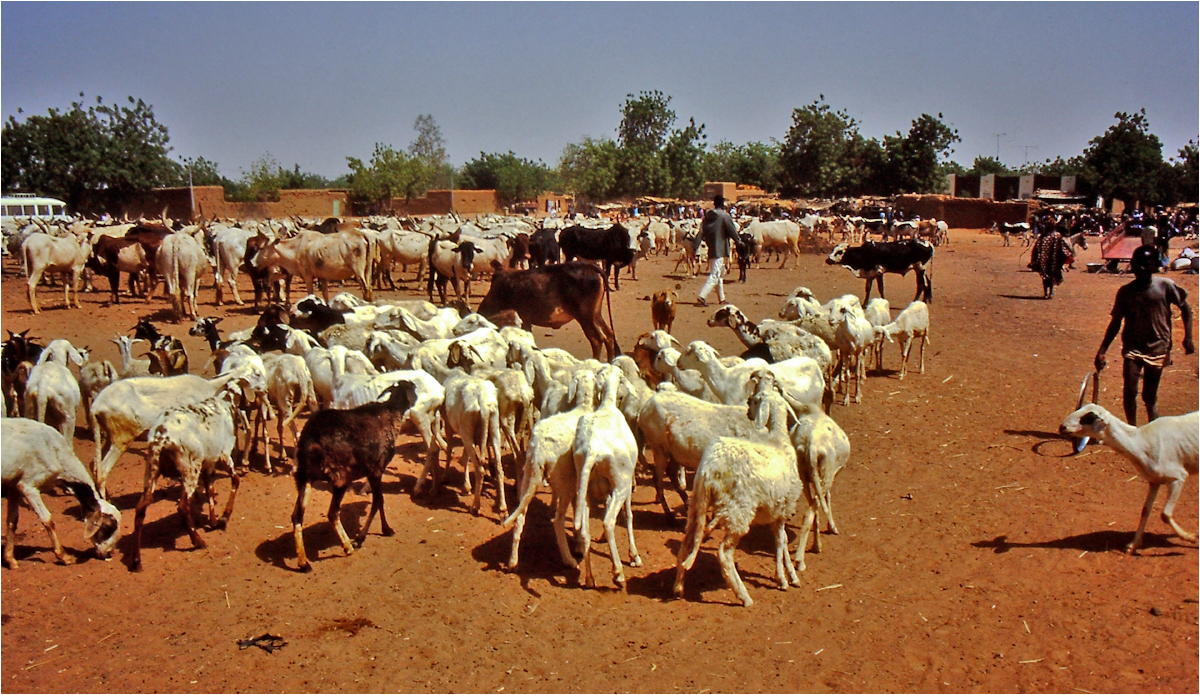 Mali - Menschen,Kultur und Landschaften (188)