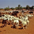 Mali - Menschen,Kultur und Landschaften (188)