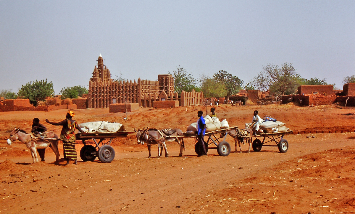 Mali - Menschen,Kultur und Landschaften (193)