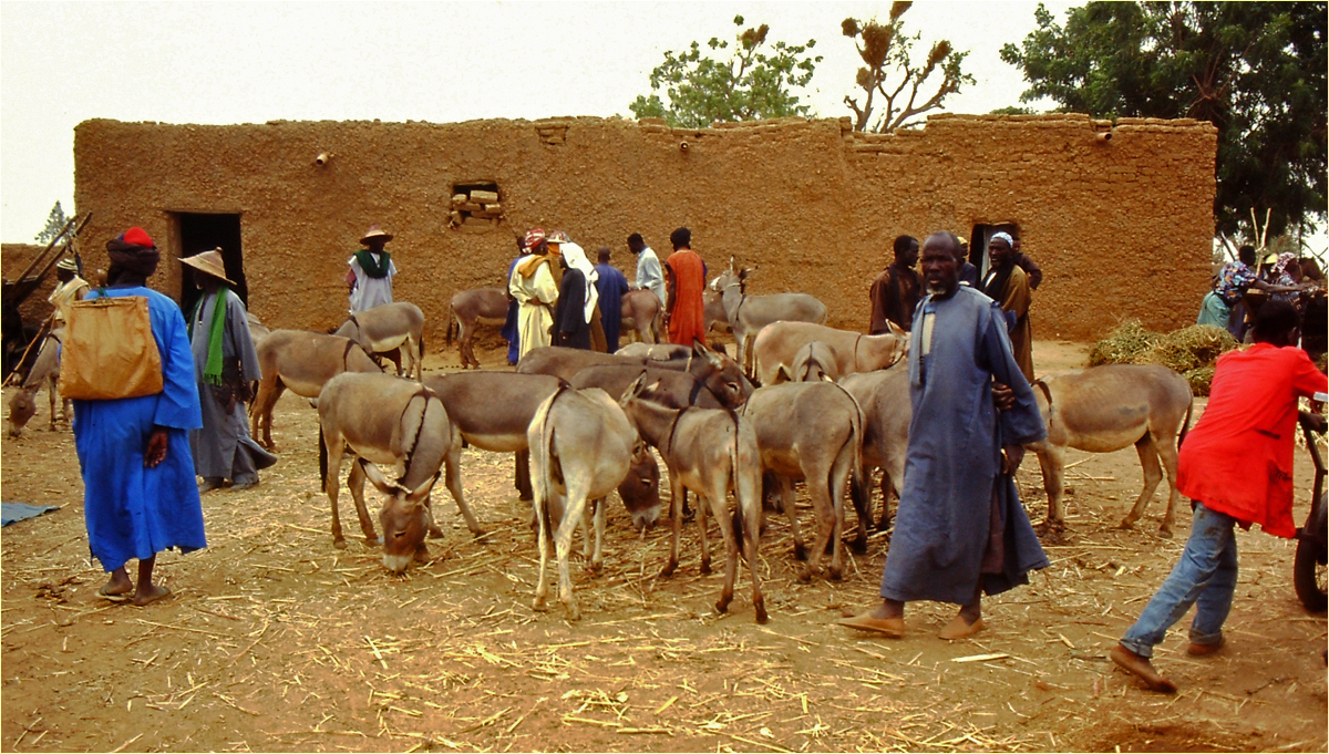 Mali - Menschen,Kultur und Landschaften (200)