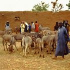 Mali - Menschen,Kultur und Landschaften (200)