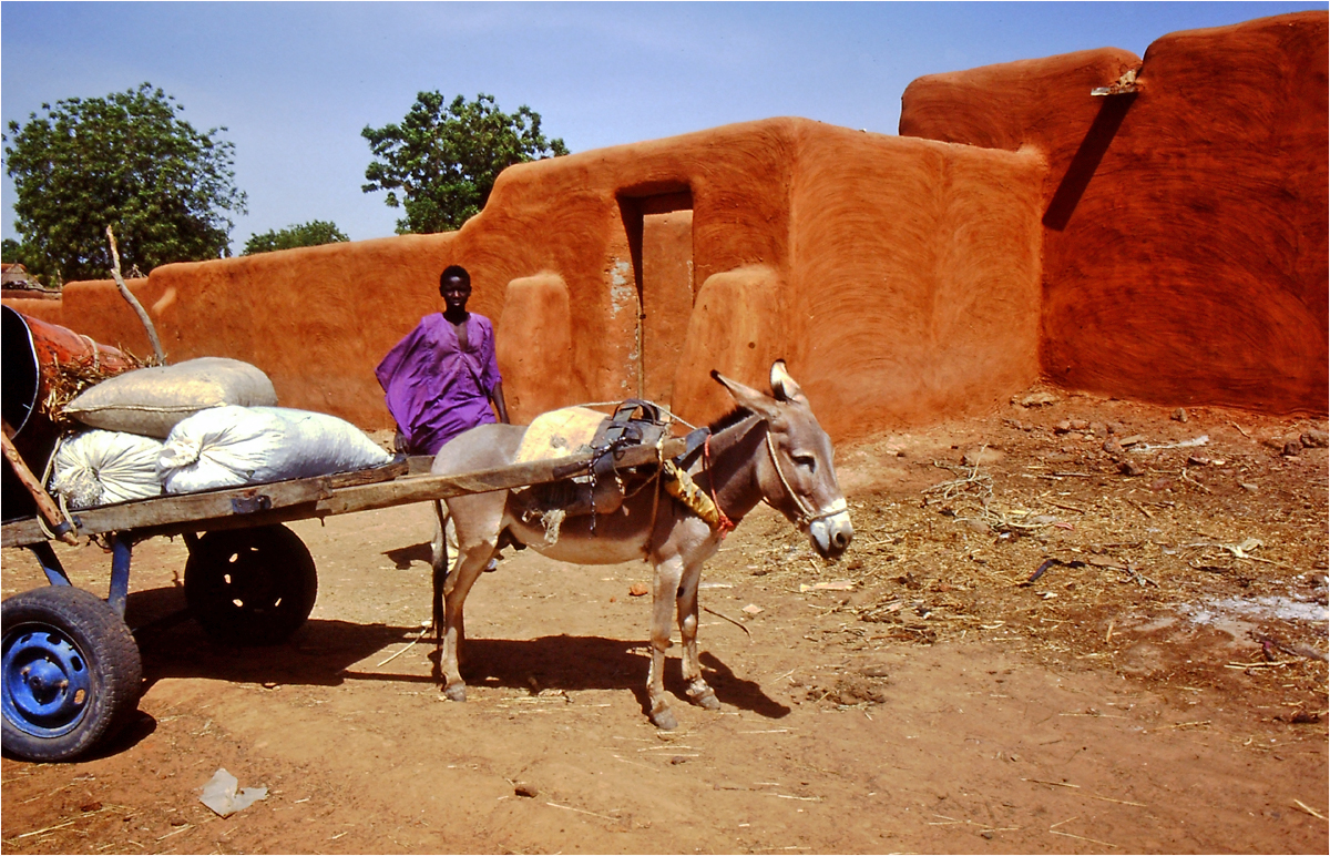 Mali - Menschen,Kultur  und Landschaften (21)