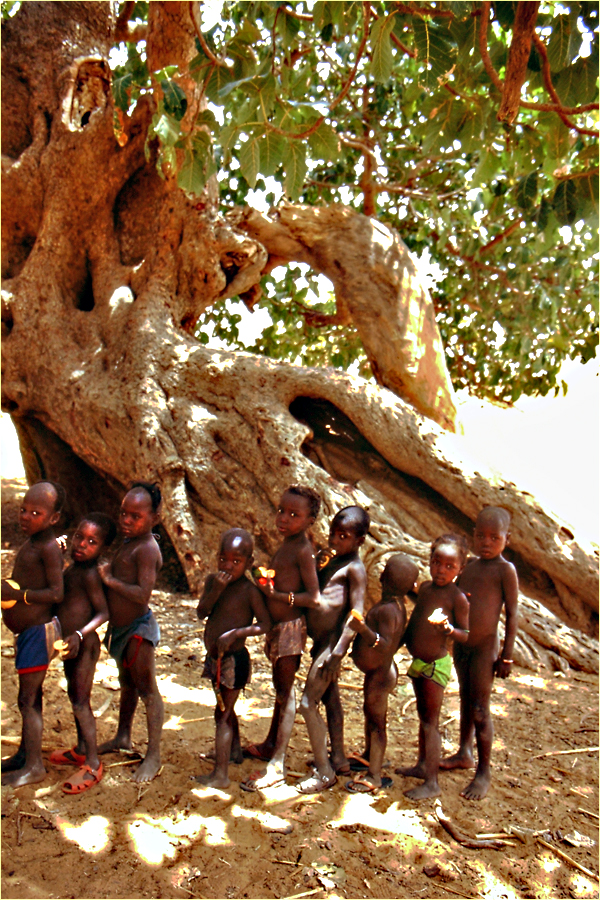 Mali - Menschen,Kultur und Landschaften (210)