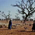 Mali - Menschen,Kultur und Landschaften (216)