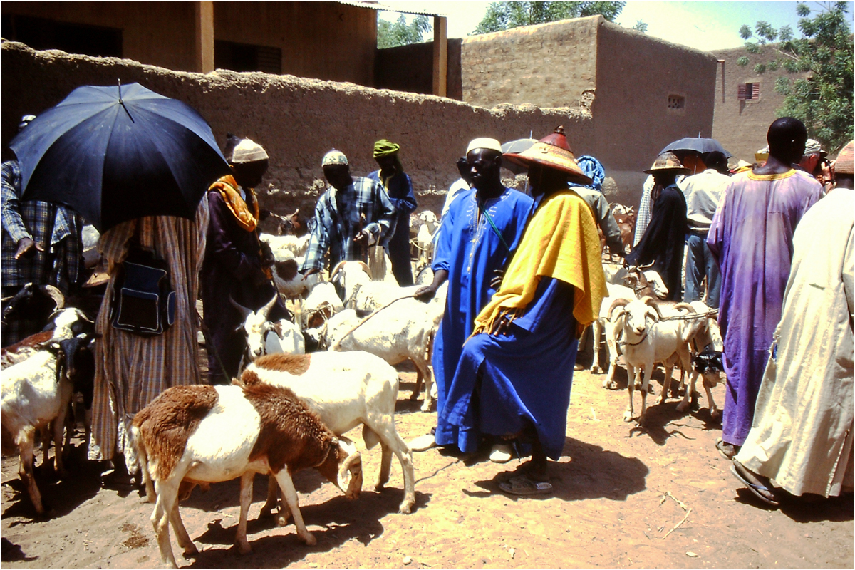 Mali - Menschen,Kultur und Landschaften (239)