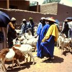 Mali - Menschen,Kultur und Landschaften (239)