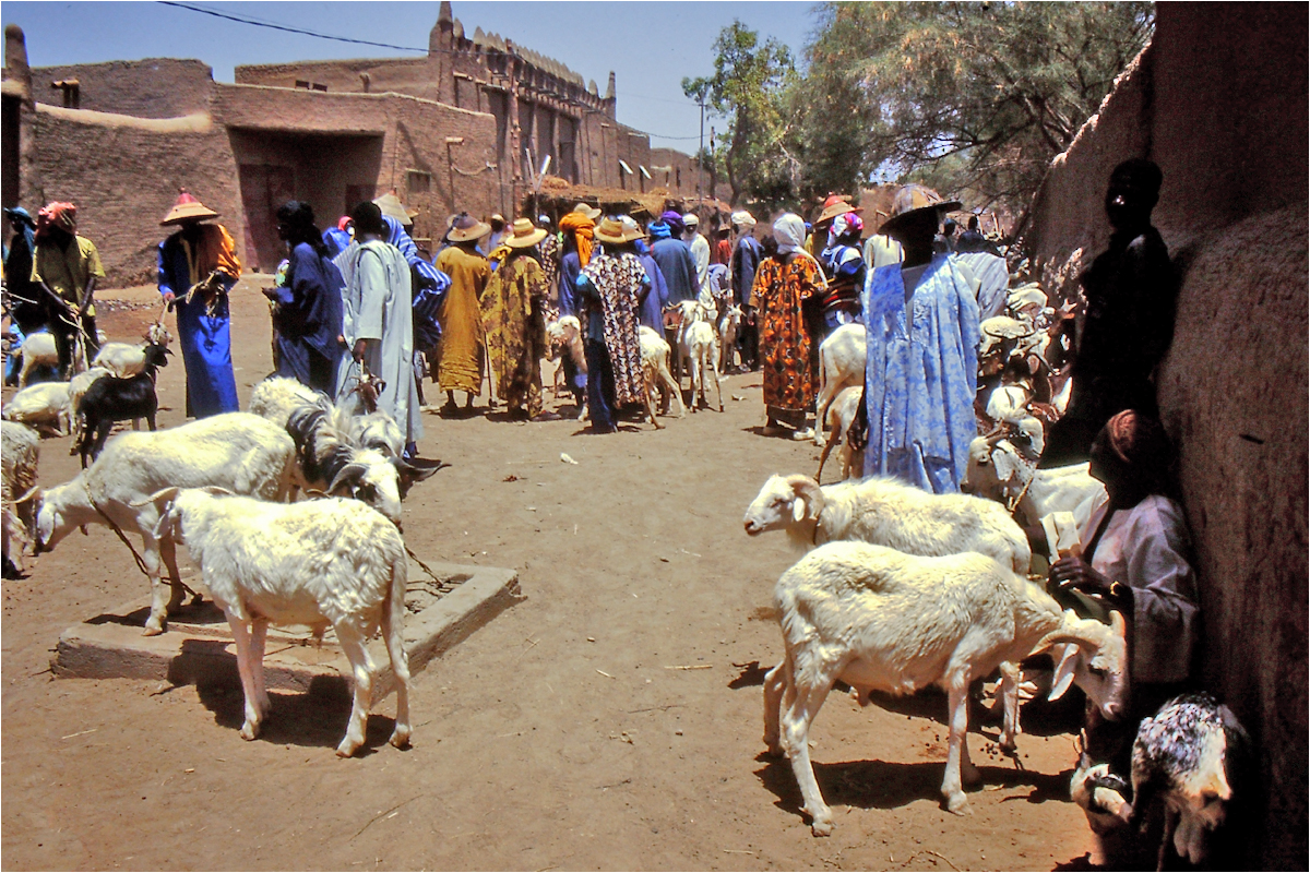 Mali - Menschen,Kultur und Landschaften (243)