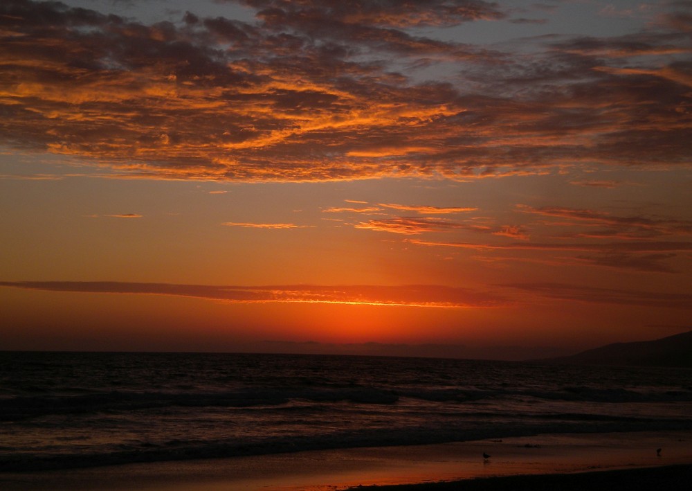 Malibu Beach 2009