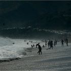 Malibu Beach (6)