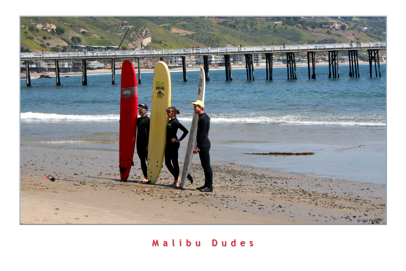 Malibu Dudes