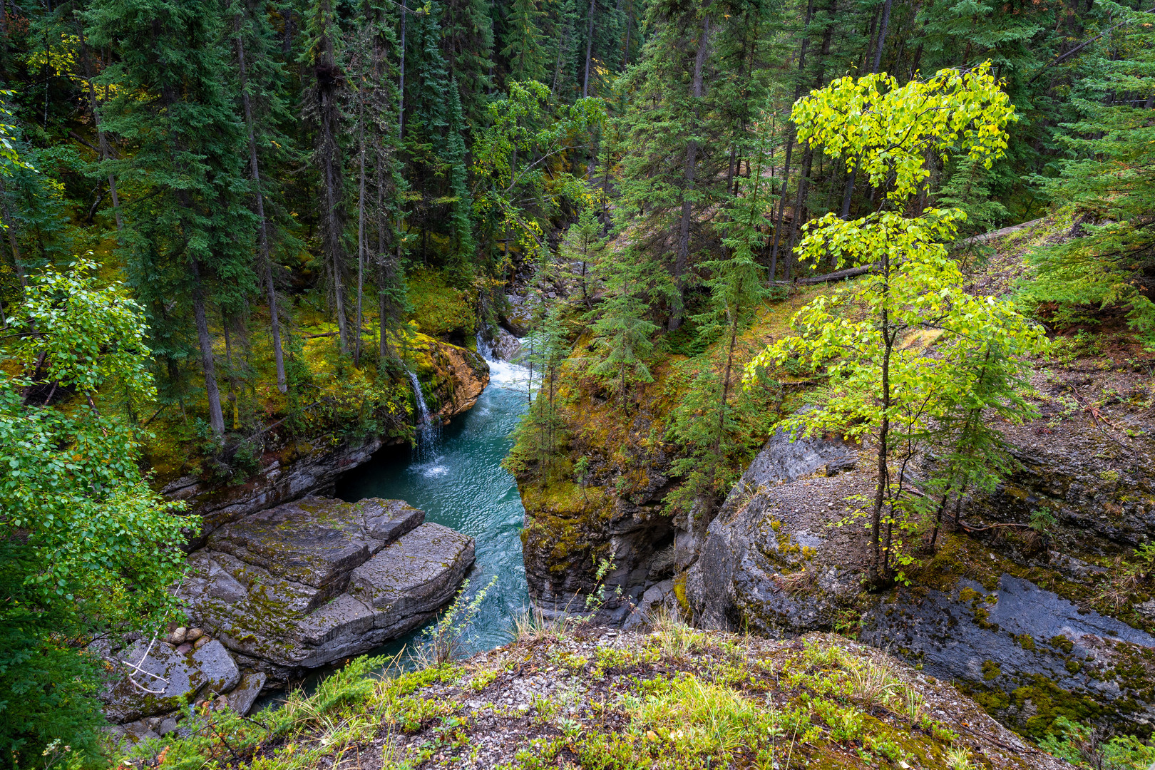 Maligne Canyon