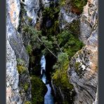 Maligne Canyon