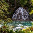 Maligne Canyon