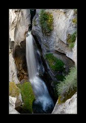 [ Maligne Canyon ]