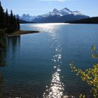 Maligne Lake