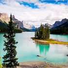 [ Maligne Lake ]