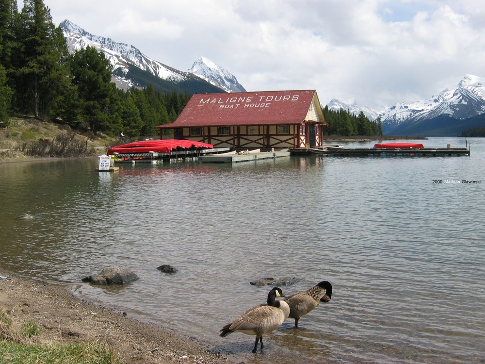 Maligne Lake, Alberta - Icefields Parkway (20.05.2005)