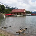 Maligne Lake, Alberta - Icefields Parkway (20.05.2005)