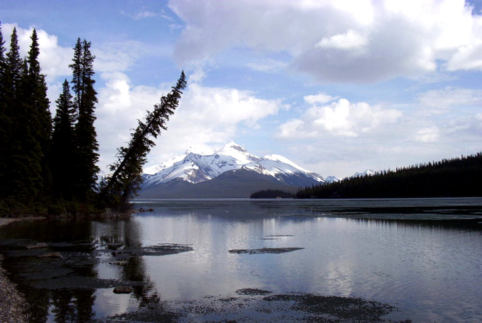 Maligne Lake