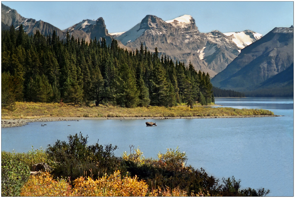 Maligne Lake - Jasper N.P. - Alberta - Kanada